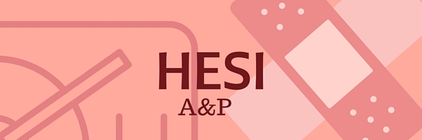 hesi-practice-exams-nursingtip